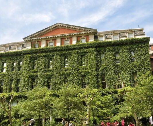 Free NHS coronavirus tests available to all King’s students and staff