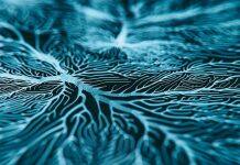 Manage mental health early for better overall health and longer life: study