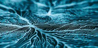 Manage mental health early for better overall health and longer life: study