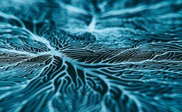 Manage mental health early for better overall health and longer life: study