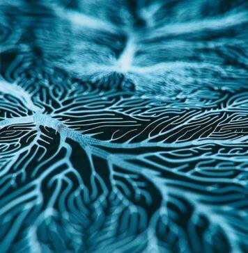 Manage mental health early for better overall health and longer life: study