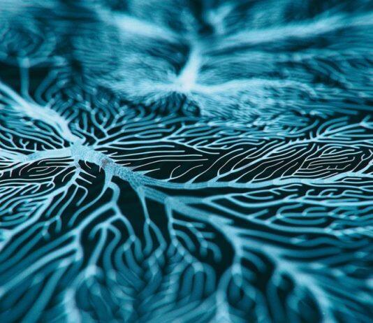 Manage mental health early for better overall health and longer life: study