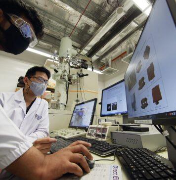 Microscopes and computers join forces to unravel biological mysteries