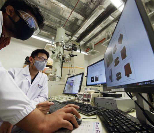 Microscopes and computers join forces to unravel biological mysteries