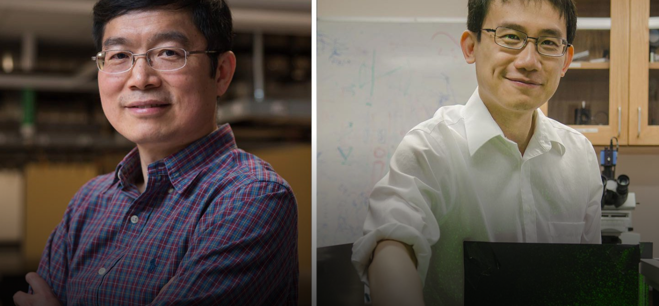 lihong-wang-and-changhuei-yang-named-to-national-academy-of-inventors