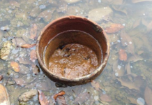 Methane emissions from abandoned oil and gas wells underestimated