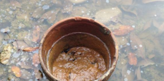 Methane emissions from abandoned oil and gas wells underestimated