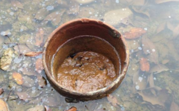 Methane emissions from abandoned oil and gas wells underestimated