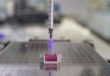 Scientists use novel ink to 3D-print ‘bone’ with living cells