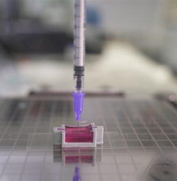 Scientists use novel ink to 3D-print ‘bone’ with living cells