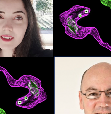 Parasite defence mechanism de-coded by Dundee research team
