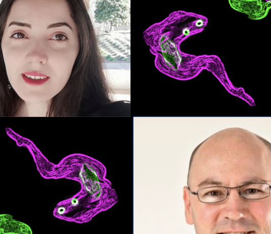 Parasite defence mechanism de-coded by Dundee research team