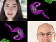 Parasite defence mechanism de-coded by Dundee research team