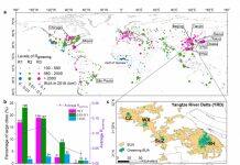 HKU Engineering scholar reveals in first global study hugely uneven urbanization among large cities in the last two decades