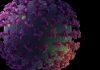Nanoparticle Immunization Technology Could Protect Against Many Strains of Coronaviruses