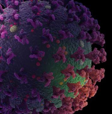 Nanoparticle Immunization Technology Could Protect Against Many Strains of Coronaviruses