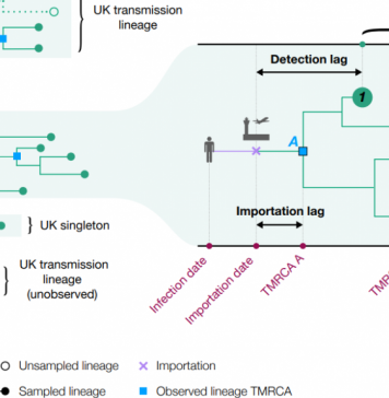 COVID-19 transmission chains in the UK accurately traced using genomic epidemiology