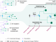 COVID-19 transmission chains in the UK accurately traced using genomic epidemiology