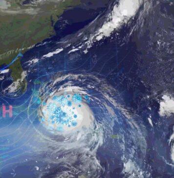 Forecasting the next COVID-19