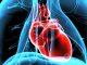 Regenerative heart valves and blood vessels a step closer