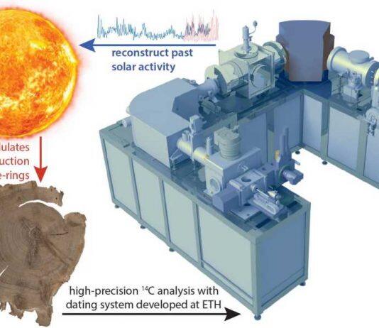 Solar activity reconstructed over a millennium
