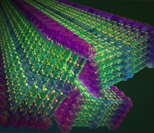 Researchers construct molecular nanofibers that are stronger than steel