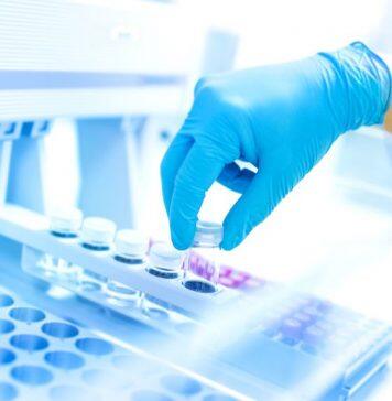 Oxford coronavirus vaccine produces strong immune response in older adults