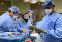 Lab-grown ‘mini-bile ducts’ used to repair human livers in regenerative medicine first