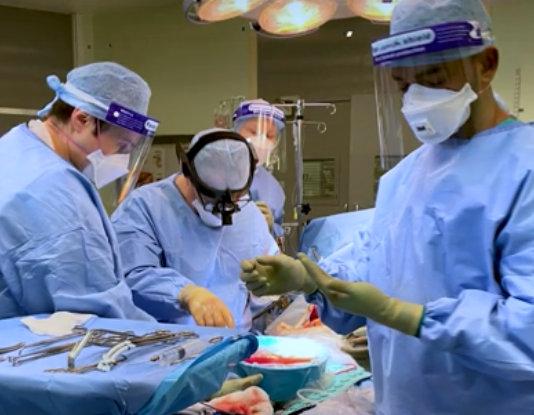 Lab-grown ‘mini-bile ducts’ used to repair human livers in regenerative medicine first