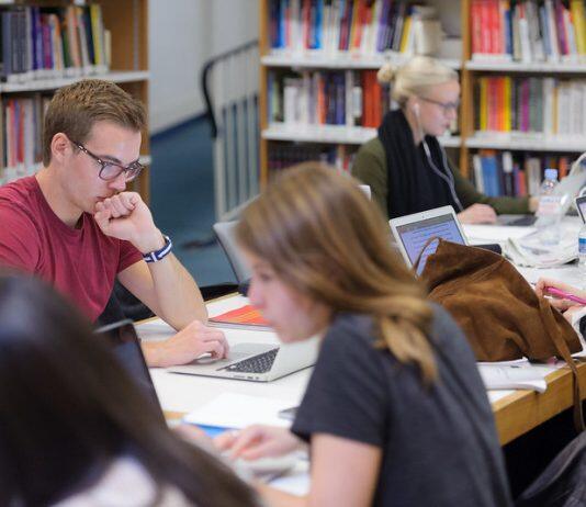 A blended educational model for budding business leaders