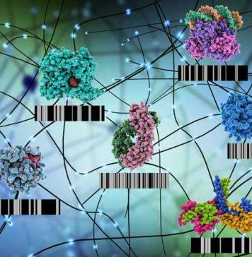 Detecting functional changes at the proteome level
