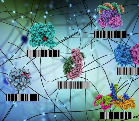 Detecting functional changes at the proteome level