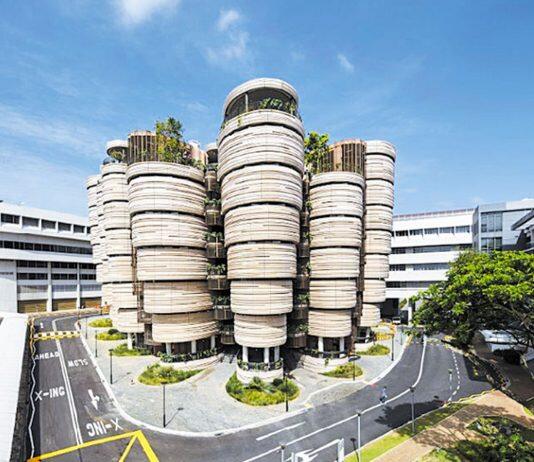 NTU Singapore’s Class of 2020 continues to be sought after by employers and earn higher salaries