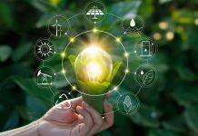 On a mission: Innovative solutions to pressing environmental problems