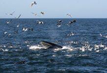 No.1 in global University Impact Rankings