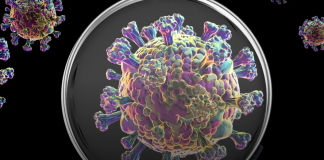 Researchers Partner with Pasadena Public Health on COVID-19 Study