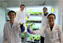 NTU Singapore scientists develop device to ‘communicate’ with plants using electrical signals