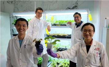 NTU Singapore scientists develop device to ‘communicate’ with plants using electrical signals