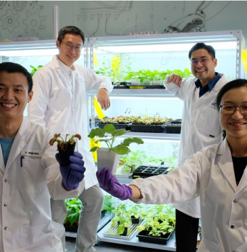 NTU Singapore scientists develop device to ‘communicate’ with plants using electrical signals
