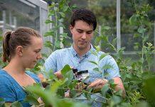 Massey University ranked 34 in QS World ranking for Agriculture and Forestry