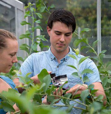 Massey University ranked 34 in QS World ranking for Agriculture and Forestry