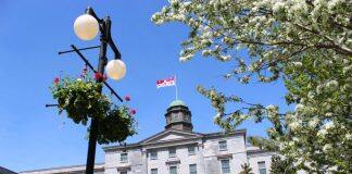 McGill’s investment strategy continues to yield significant results in reducing the carbon-intensity of the McGill Investment Pool