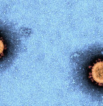 First antigen test pilot in low prevalence COVID-19 settings signals challenges for rollout