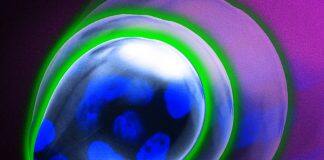 Membrane around tumors may be key to preventing metastasis