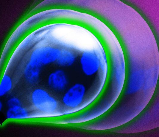 Membrane around tumors may be key to preventing metastasis