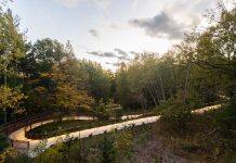 A walk in the park? How spending time in nature can boost mental health