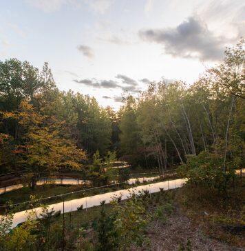 A walk in the park? How spending time in nature can boost mental health