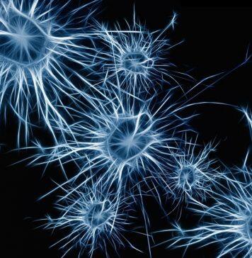 New Research Challenges Long-Held Theories of Alzheimer’s Disease Progerssion With Impact for Future Treatment