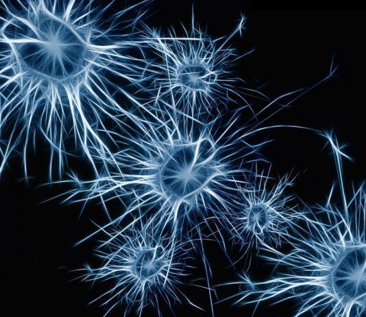 New Research Challenges Long-Held Theories of Alzheimer’s Disease Progerssion With Impact for Future Treatment