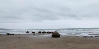 Stories of tīpuna recognised through whakapapa research